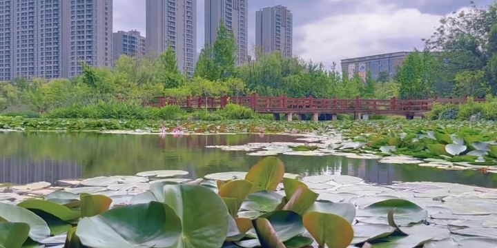 Fumin Wetland Park