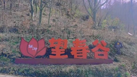 Anhui Jinzhai Wangchun Valley