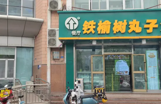 清真·鐵榆樹丸子湯(開發區店)