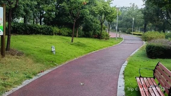 Yangzhong Forest Park