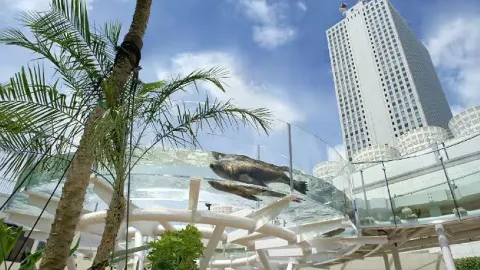 Acquario Sunshine City attraction in Tokyo