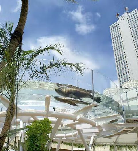 陽光水族館入場門票(彈性入場)成人票