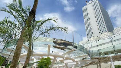 陽光水族館＋陽光大廈60層展望台門票成人