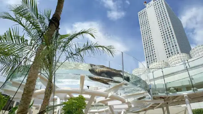 2_陽光水族館