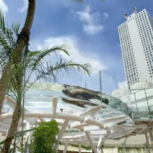 サンシャイン水族館