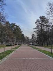 Veliki park