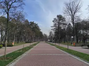 Veliki park