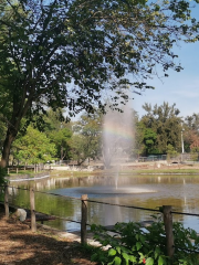 アビラ・カマチョ公園