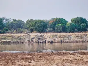 Udawalawe-Nationalpark