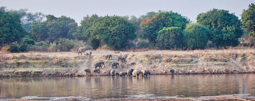Udawalawe-Nationalpark