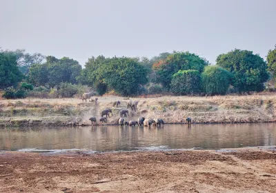 Udawalawe-Nationalpark