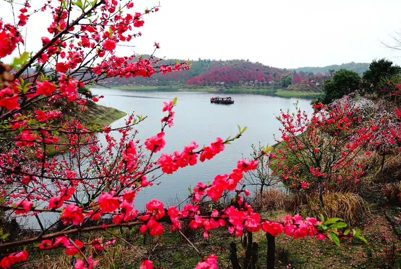 Hotels near Wuning Huayuan Valley