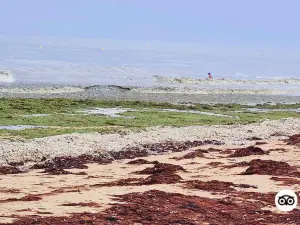 Plage de Courseulles sur Mer