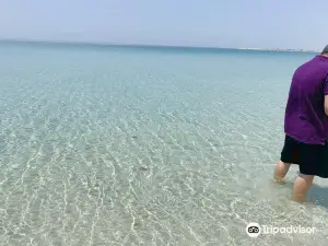 Dukhan Beach