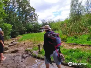 Farm Adventure