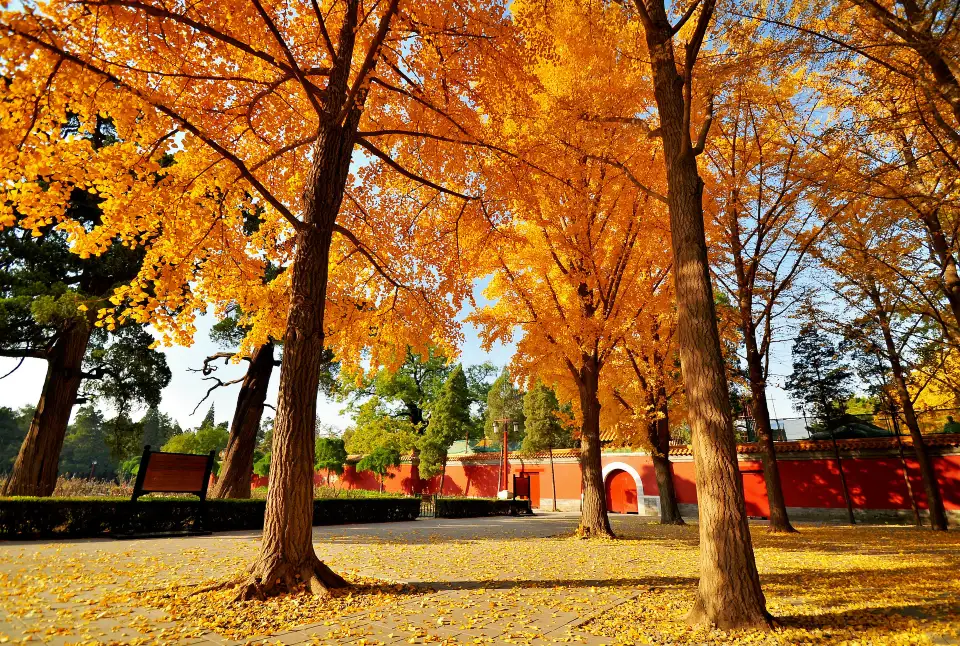 3_Jingshan Park