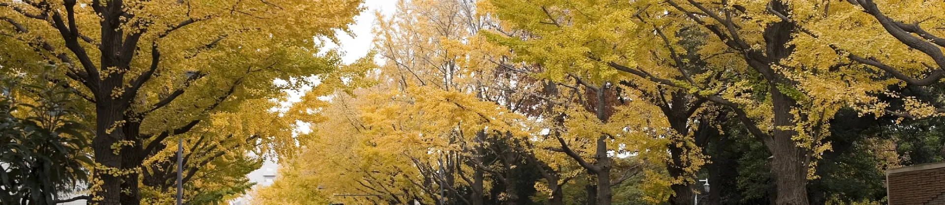 Herbstliche Sehenswürdigkeiten