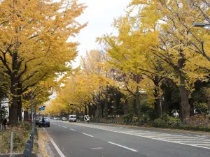 Parc Yamashita