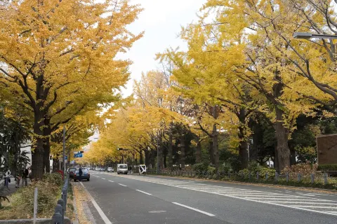Yamashita Park