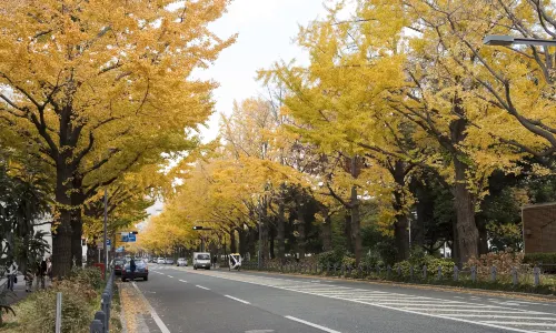 Yamashita Park