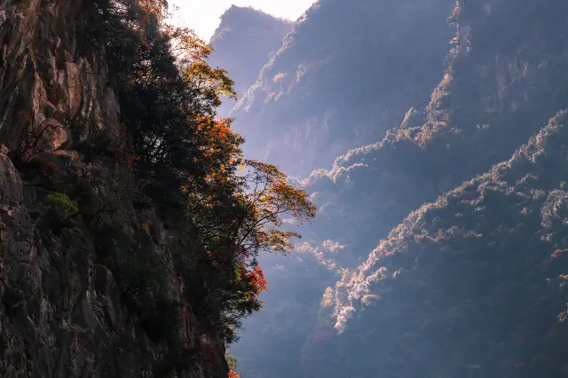 Fall Leaves Viewing in Dazhou