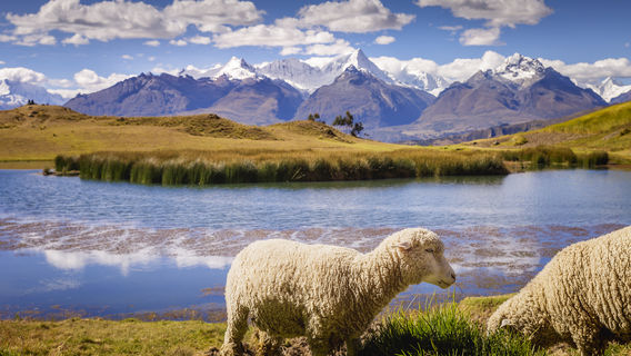 Parc national de Huascarán