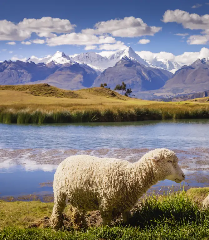 Yungay Province
