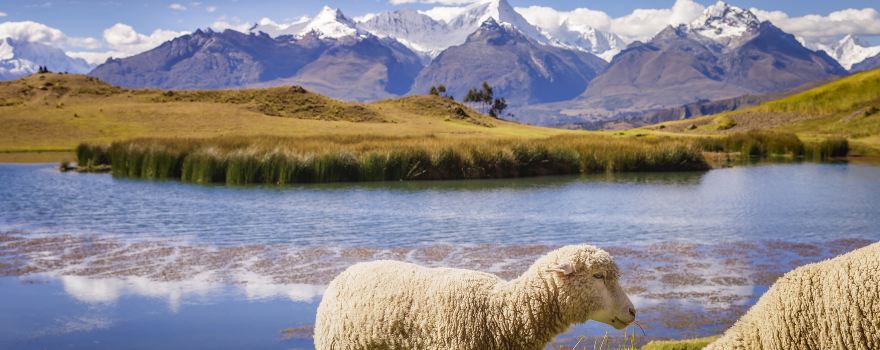Huascarán National Park