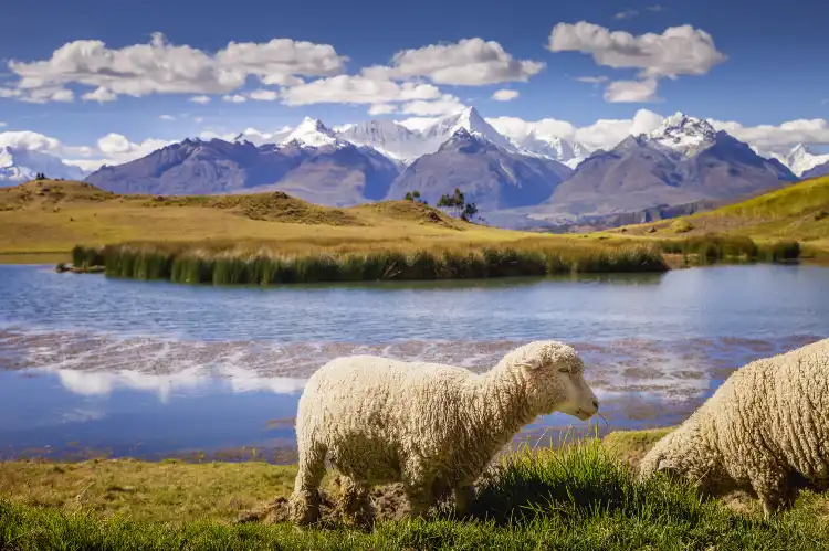 Hotels near Huascarán National Park