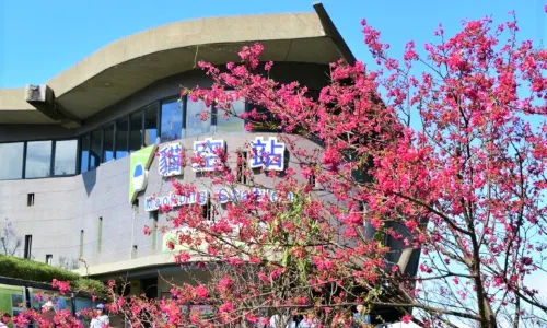 MaoKong