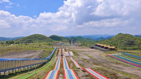 Baili Rhododendron·Fangjiaping Scenic Area
