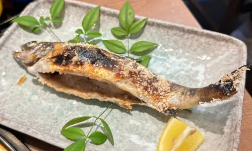 Amago Chaya