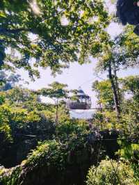 Rainforest hiking adventure