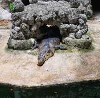 วัดจักรวรรดิราชาวาสวรมหาวิหาร