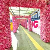 【運動散步走廊】新開放粉紅花花隧道，地方超大