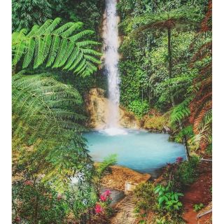 travel bandung subang 2023 https://ak-d.tripcdn.com/images/0106z22342qtmhh4gCED3.jpg?proc=source/trip
