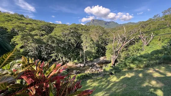 Sleeping Giant Zipline