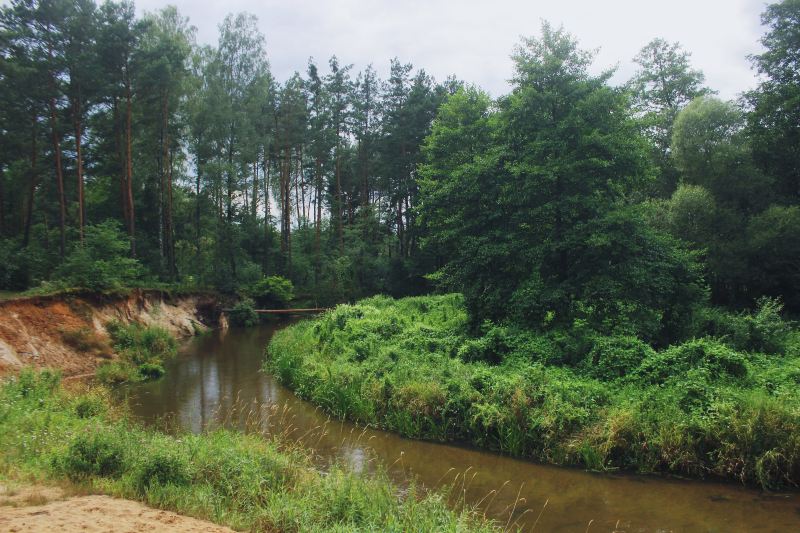 Xiaodonggou Primeval Forest