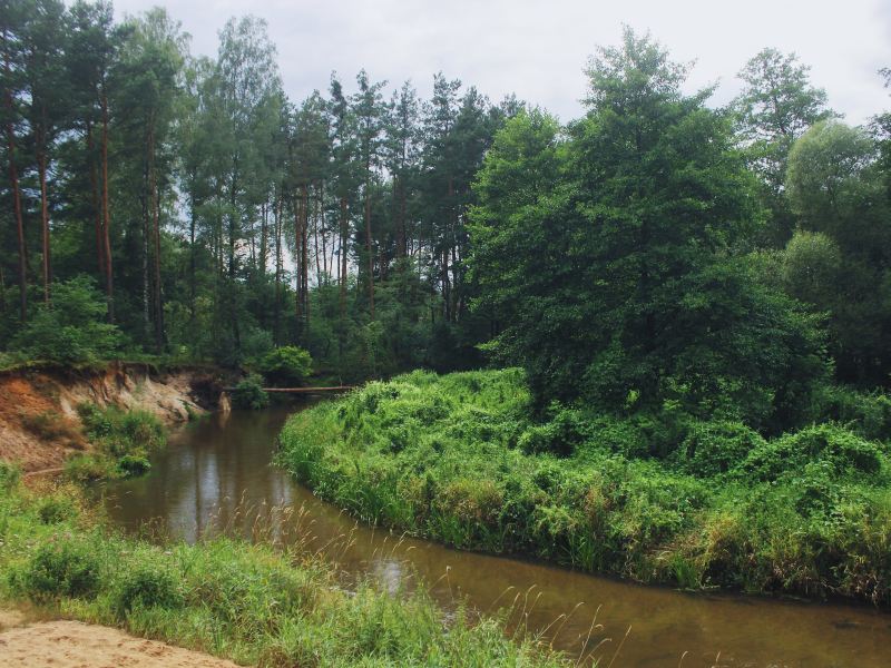 Xiaodonggou Primeval Forest