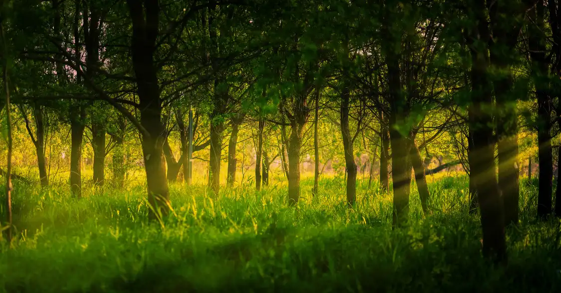 류수완/유수만 관광단지 주변 호텔