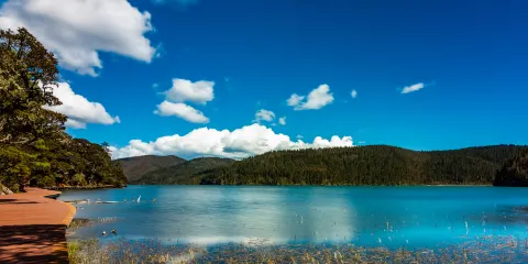 碧塔海景區