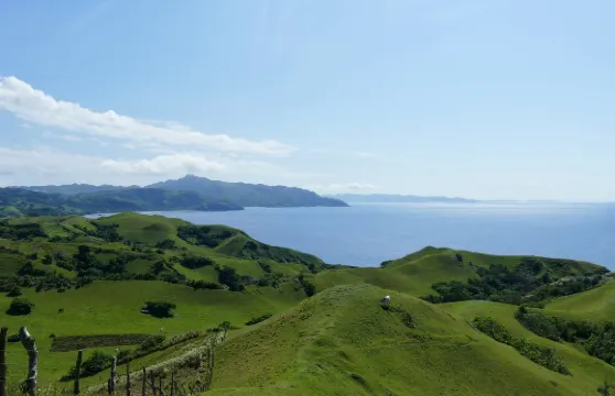 六盤水烏蒙大草原一日遊【車輛進入景區/上門接送/無購物】