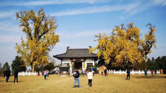 惠济寺位于南京市浦口区汤泉街道，又称古惠济寺，始建于南朝，初