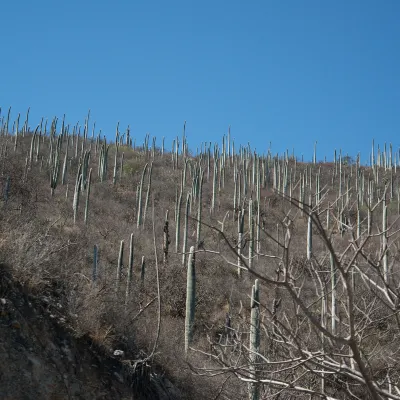 Các khách sạn ở Tucson