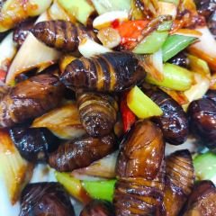 春夏秋冬私房菜馆(南环西路店) User Photo