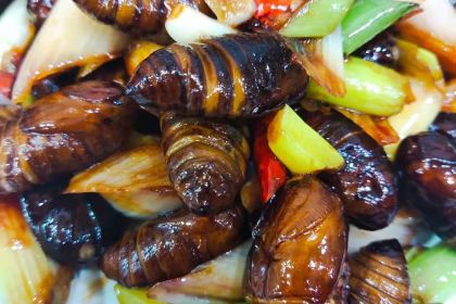 春夏秋冬私房菜馆(南环西路店)