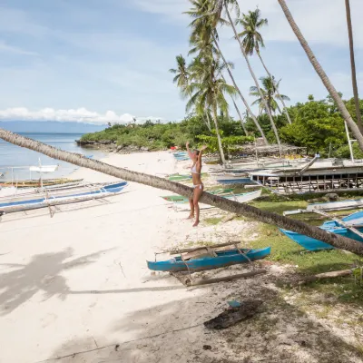 Flug Tagbilaran Puerto Princesa