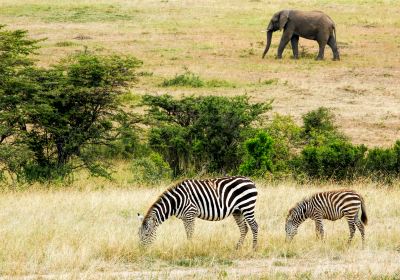 Awash National Park