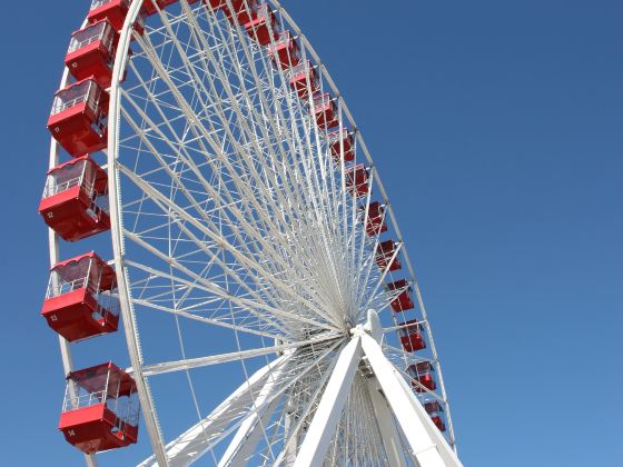 Niagara SkyWheel