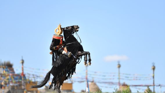 Depart from Baotou, Inner Mongolia, Xilamuren Grassland, optional Hongger Aobao performance, private guided day tour
